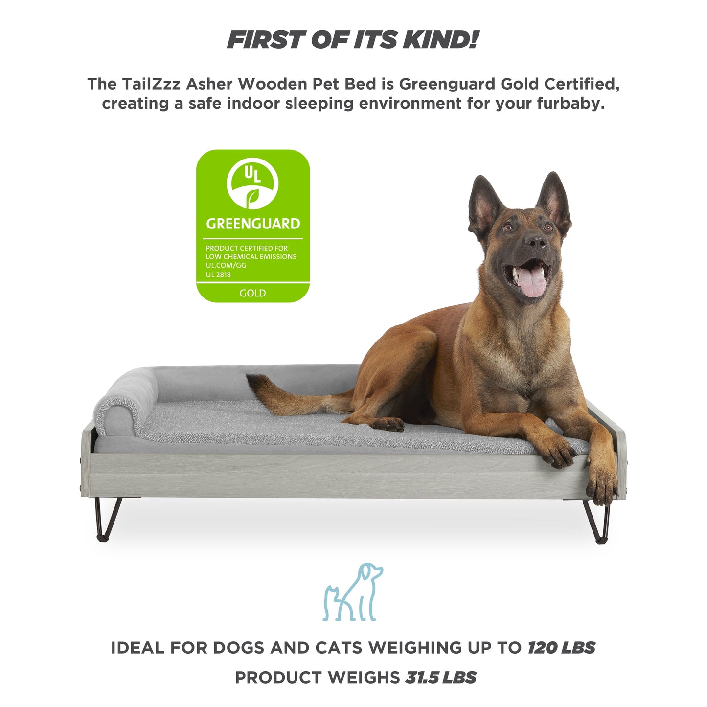 Asher Wooden Pet Bed with Mattress | Large to Extra Large Pet Bed with Mattress | Elevated Pet Bed | Greenguard Gold Certified Wooden Pet Bed