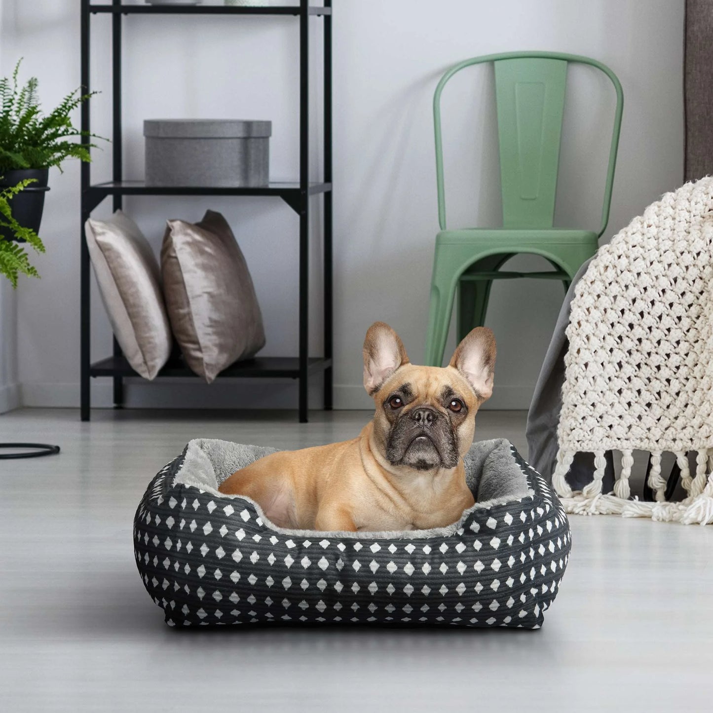 Cuddler Small Dog or Cat Bed, Black 19" X 15"