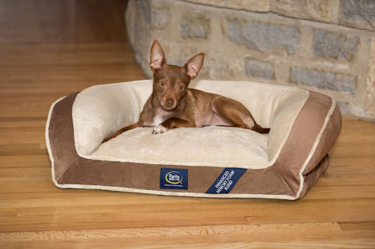 pedic Memory Foam Mini Couch Dog Bed in Brown, Small
