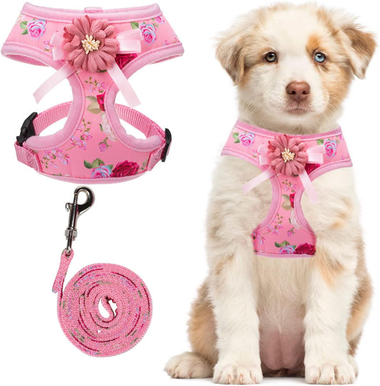 No Pull Harness for Small Dogs with Leash Set, Flower Pattern Dog Harness for Summer, Adjustable Dog Chest Strape, Pet Vest Harness for Dog Puppy Training